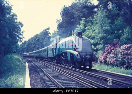 Sir Nigel Gresley, ex LNER Classe A4, approches Bournemouth avec un train spécial de Weymouth au cours des années 1960. Banque D'Images