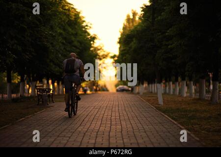 Un homme en vêtements d'été et avec un sac à dos en balade à bicyclette le long de l'allée de châtaigniers au coucher du soleil Banque D'Images