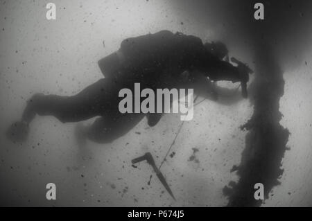 Navy Builder 2e classe Justin Lieder, avec l'équipe de construction sous-marine (UCT) 2 Construction du Détachement de plongée (CDD) Alpha, les éraflures de la croissance d'un marin de la chaîne d'amarrage pour effectuer les travaux d'entretien et d'inspections à un chantier naval à l'Installation de maintenance de navires inactifs, Pearl Harbor, New York, 16 mai 2016. UCT 2 CDD fournit l'écoute sous-marine et côtière des capacités de construction. UCTCDD est attribué au commandant de la Task Force (CTF) 75, la task force expéditionnaire principale responsable de la planification et l'exécution des opérations fluviales côtières, des explosifs et munitions, plongée sous-marine engineering Banque D'Images