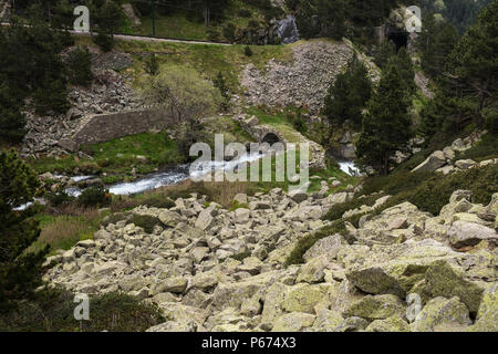 Le Rio de Nuria river qui s'écoule dans la Vall de Nuria à Ribes de Freser dans la montagnes Pyreneean, Catalogne, Espagne Banque D'Images