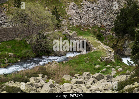 Le Rio de Nuria river qui s'écoule dans la Vall de Nuria à Ribes de Freser dans la montagnes Pyreneean, Catalogne, Espagne Banque D'Images