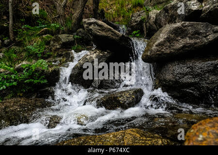 Le Rio de Nuria river qui s'écoule dans la Vall de Nuria à Ribes de Freser dans la montagnes Pyreneean, Catalogne, Espagne Banque D'Images