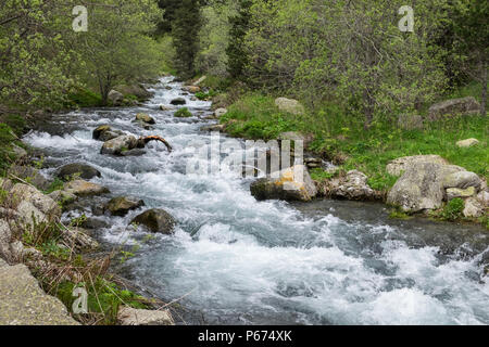 Le Rio de Nuria river qui s'écoule dans la Vall de Nuria à Ribes de Freser dans la montagnes Pyreneean, Catalogne, Espagne Banque D'Images