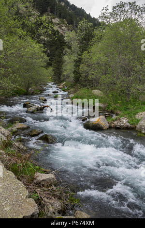 Le Rio de Nuria river qui s'écoule dans la Vall de Nuria à Ribes de Freser dans la montagnes Pyreneean, Catalogne, Espagne Banque D'Images