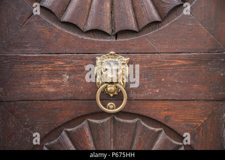 Porte-lion sur une ancienne porte en bois, Prague, République Tchèque Banque D'Images