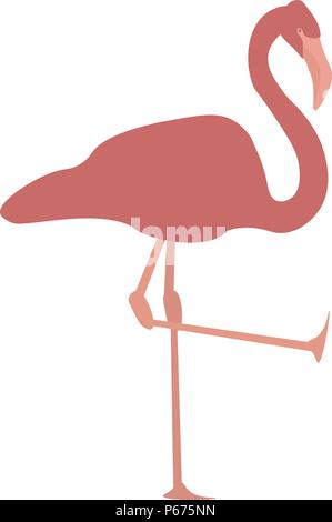 Image vectorielle d'un flamand rose debout sur une jambe avec l'autre jambe en l'air. Chaque partie du corps est sur un calque différent. Illustration de Vecteur