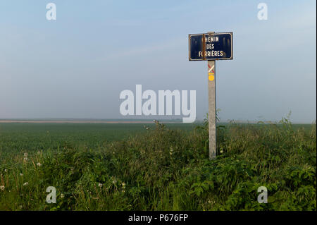 Rusty road sign in field, Normandie, France Banque D'Images