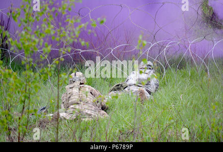 10e Bataillon de sapeurs du Génie, 1st Armored Brigade Combat Team, 3ème Division d'infanterie d'évaluer un obstacle de fil et se préparent à l'infraction à l'aide d'une torpille Bangalore durant leur artillerie Tableau XII à Grafenwoehr Domaine de formation, l'Allemagne le 19 mai. Les pelotons sont sur la table de tir pour être certifié et préparé pour exercer Anakonda 16 qui se tiendra en Pologne du 7 au 17 juin. Anakonda est un exercice dirigée par la Pologne qui comprendra plus de 25 000 participants de 24 nations, le soutien de la qualité et des mesures de dissuasion en faisant preuve de capacités de défense à déployer, de la masse et de soutenir la lutte contre le pouvoir. Banque D'Images