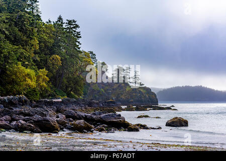 Parc régional East Sooke, île de Vancouver, Colombie-Britannique, Canada. Banque D'Images