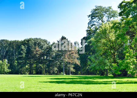 Parc idyllique avec scène pré vert et bleu ciel. Banque D'Images