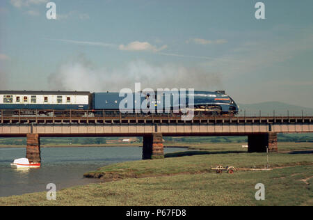 Cumbrian Coast Express. No.4498 Sir Nigel Gresley se dirige vers le sud sur la rivière Esk de Sellafield à Carnforth. 11.07.1978. Banque D'Images