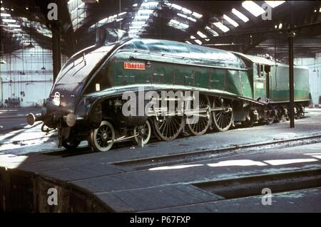 Ancienne LNER Classe A4 'Pacifique' du Petit Blongios. Banque D'Images