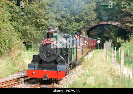 Le Broadsman est vue ici sur la bure Valley Railway à Colteshall avec un train de Wroxham à Aylsham en août 2004 Banque D'Images