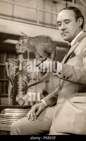 Desmond Morris avec un sud-américain singe écureuil (Saimiri sciureus), pour la série TV de la BBC, La vie dans le monde animal. 1966. Banque D'Images