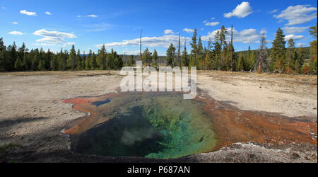 Printemps citron sur Firehole Lake Drive dans le Parc National de Yellowstone dans le Wyoming United States Banque D'Images