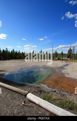 Printemps citron sur Firehole Lake Drive dans le Parc National de Yellowstone dans le Wyoming United States Banque D'Images