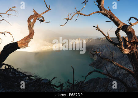 Les arbres morts et de fumée sur le lac Kawah Ijen, célèbre destination voyage volcanique et une attraction touristique en Indonésie Banque D'Images