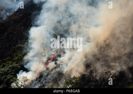 Pays de Galles Aberystwyth UK, 29 juin 2018 Météo France : Un feu de forêt qui a commencé le mardi le 26 juin est encore allumées et couve depuis une quatrième journée le long des pentes abruptes de la vallée de Rheidol, quelques milles à l'intérieur d'Aberystwyth au Pays de Galles. Le relief rend impossible pour les équipes pour obtenir leurs véhicules près des flammes, et le feu est traité par une équipe spécialiste de l'hélicoptère , commandé par Ressources naturelles du pays de Galles à une réputation de 1 000 £ par heure, qui sont en baisse 1000 litres seau charges d'eau, sur la combustion des arbres. Credit : Keith morris/Alamy Live News Banque D'Images