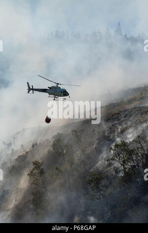 Pays de Galles Aberystwyth UK, 29 juin 2018 Météo France : Un feu de forêt qui a commencé le mardi le 26 juin est encore allumées et couve depuis une quatrième journée le long des pentes abruptes de la vallée de Rheidol, quelques milles à l'intérieur d'Aberystwyth au Pays de Galles. Le relief rend impossible pour les équipes pour obtenir leurs véhicules près des flammes, et le feu est traité par une équipe spécialiste de l'hélicoptère , commandé par Ressources naturelles du pays de Galles à une réputation de 1 000 £ par heure, qui sont en baisse 1000 litres seau charges d'eau, sur la combustion des arbres. Credit : Keith morris/Alamy Live News Banque D'Images