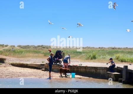 Oiseaux de troupeau sur les gens de la pêche dans la rivière de Dunwich par une chaude après-midi d'été ensoleillée dans Walberswick, Suffolk. Banque D'Images