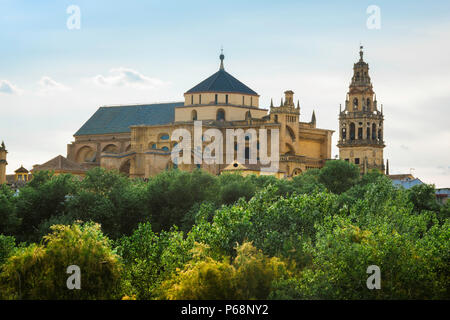 La Cathédrale de Cordoue, vue de la Cathédrale de Cordoue - connu aussi sous le nom de la Mezquita - se lever au-dessus de la boisée rives du Rio Guadalquivir, Espagne. Banque D'Images