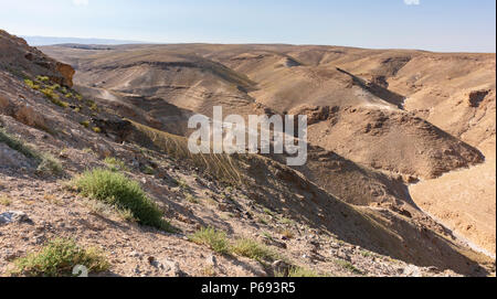 Nahal kidod est un exemple typique de wadi ou lit à sec dans le désert de Judée au sud du Néguev près de Arad, Israël Banque D'Images