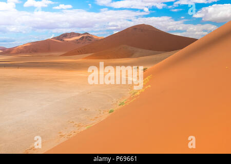 Randonnées Big Daddy, parmi les pays les plus hautes dunes près de Sossusvlei dans le Namib-Naukluft National Park de la Namibie. Banque D'Images