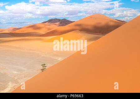 Randonnées Big Daddy, parmi les pays les plus hautes dunes près de Sossusvlei dans le Namib-Naukluft National Park de la Namibie. Banque D'Images