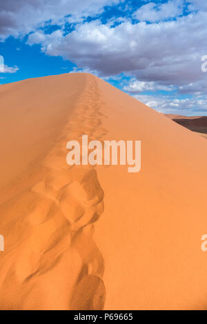 Randonnées Big Daddy, parmi les pays les plus hautes dunes près de Sossusvlei dans le Namib-Naukluft National Park de la Namibie. Banque D'Images