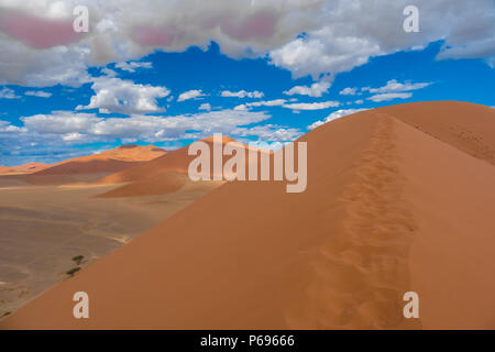 Randonnées Big Daddy, parmi les pays les plus hautes dunes près de Sossusvlei dans le Namib-Naukluft National Park de la Namibie. Banque D'Images