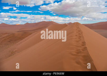 Randonnées Big Daddy, parmi les pays les plus hautes dunes près de Sossusvlei dans le Namib-Naukluft National Park de la Namibie. Banque D'Images