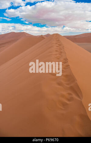 Randonnées Big Daddy, parmi les pays les plus hautes dunes près de Sossusvlei dans le Namib-Naukluft National Park de la Namibie. Banque D'Images