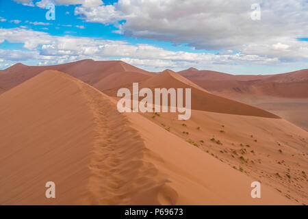 Randonnées Big Daddy, parmi les pays les plus hautes dunes près de Sossusvlei dans le Namib-Naukluft National Park de la Namibie. Banque D'Images