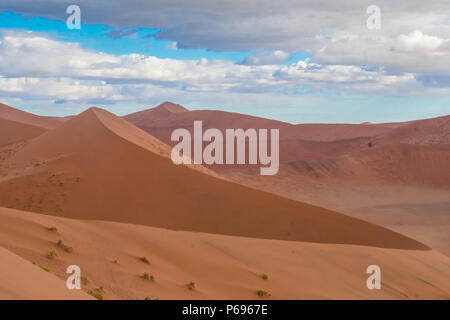 Randonnées Big Daddy, parmi les pays les plus hautes dunes près de Sossusvlei dans le Namib-Naukluft National Park de la Namibie. Banque D'Images