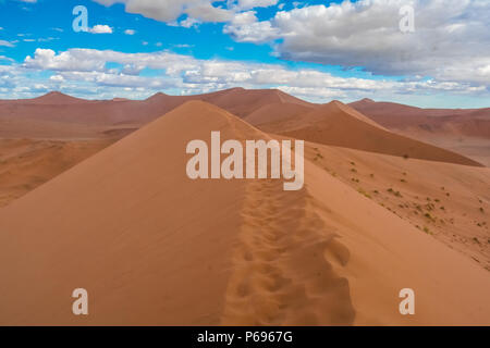 Randonnées Big Daddy, parmi les pays les plus hautes dunes près de Sossusvlei dans le Namib-Naukluft National Park de la Namibie. Banque D'Images