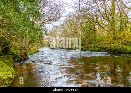 Le bouillonnement River Dart avec ses pierres et rochers Banque D'Images