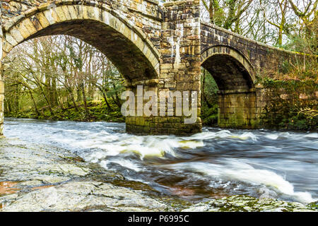 Le bouillonnement River Dart avec ses pierres et rochers Banque D'Images