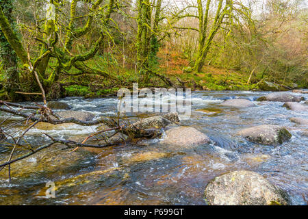 Le bouillonnement River Dart avec ses pierres et rochers Banque D'Images