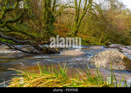 Le bouillonnement River Dart avec ses pierres et rochers Banque D'Images