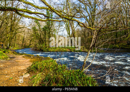 Le bouillonnement River Dart avec ses pierres et rochers Banque D'Images