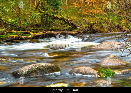 Le bouillonnement River Dart avec ses pierres et rochers Banque D'Images