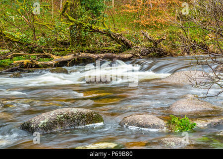 Le bouillonnement River Dart avec ses pierres et rochers Banque D'Images