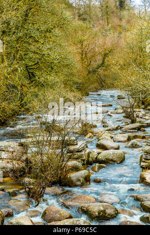 Le bouillonnement River Dart avec ses pierres et rochers Banque D'Images