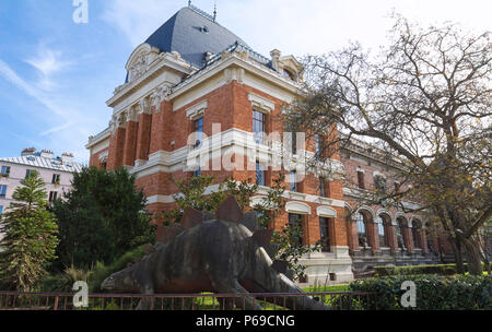 Musée national d'Histoire Naturelle, Paris, France. Le musée a été fondé en 1793 pendant la Révolution française et a une grande collection de combustibles ve Banque D'Images