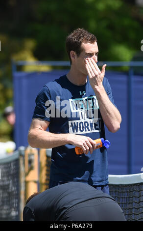 Andy Murray de Grande-Bretagne s'applique de la crème solaire sur le cours pratique aujourd'hui au cours de la vallée de la nature le tournoi international de tennis du Devonshire Park à Eastbourne East Sussex UK. 26 Juin 2018 Banque D'Images