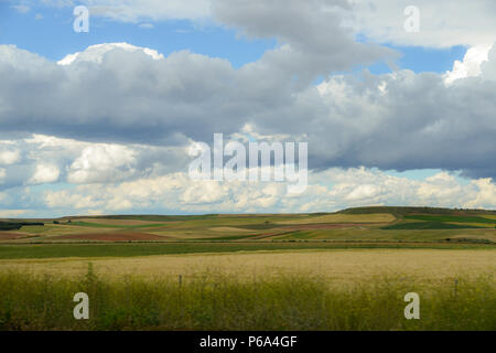 Collines vertes avec des nuages dans le cœur agricole de l'Espagne, près de Salamanca Banque D'Images