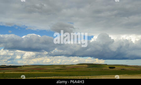 Collines vertes avec des nuages dans le cœur agricole de l'Espagne, près de Salamanca Banque D'Images