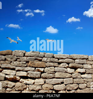 L'image d'un mur de pierre et les oiseaux en plein vol