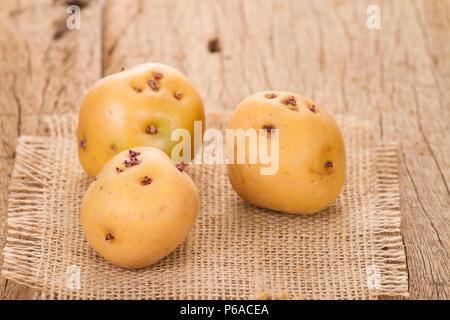 La pomme de terre ou de pommes de terre jaune créole sur la vieille table en bois (Solanum phureja) Banque D'Images