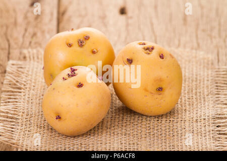 La pomme de terre ou de pommes de terre jaune créole sur la vieille table en bois (Solanum phureja) Banque D'Images